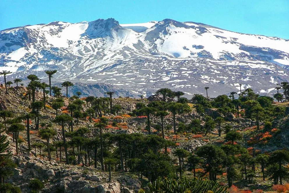 Nieve, Cultura Y Sabores Para Todos Los Gustos » Viajo Con Vos