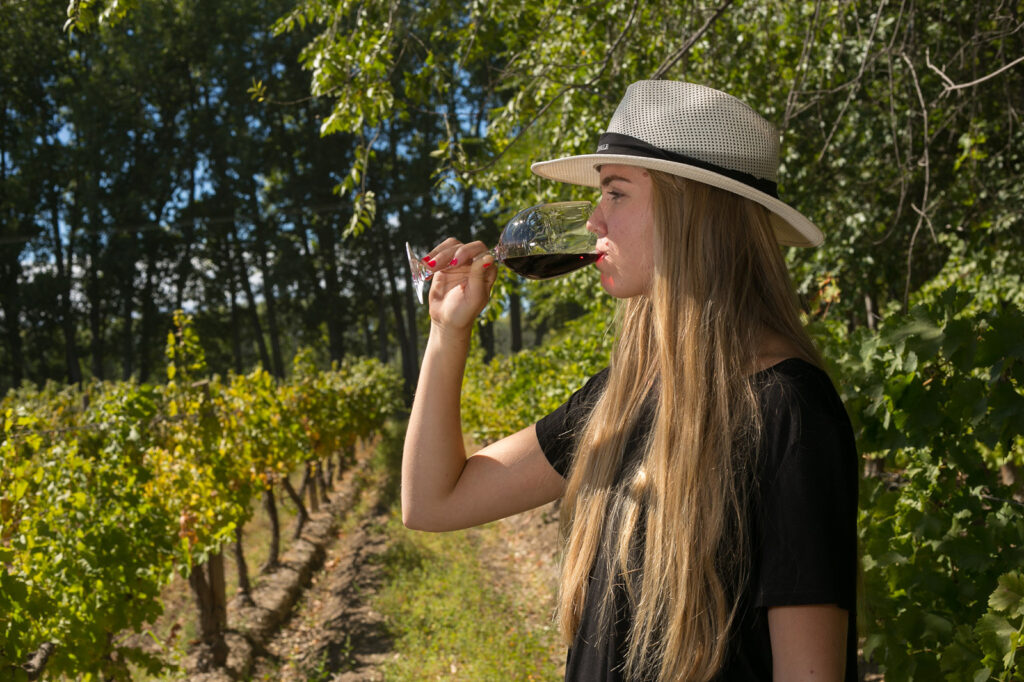 Qué Hacer En La Provincia Este Verano Entre Playa, Montaña Y Estepa » Viajo Con Vos
