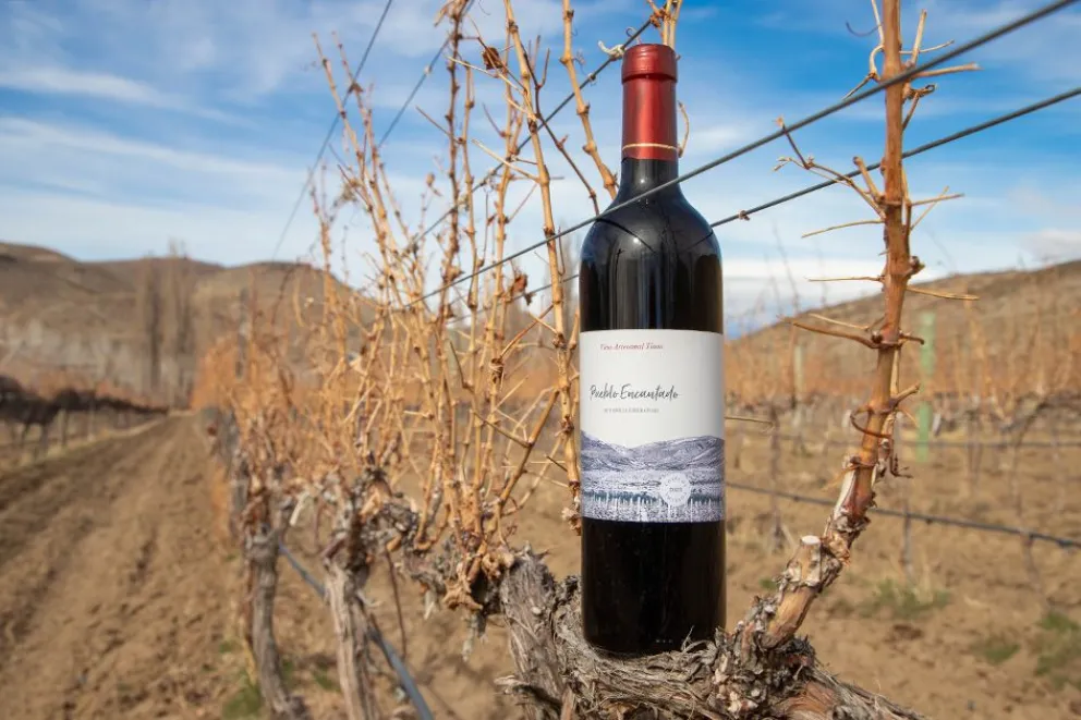 Bodegas, Experiencias Y Turismo Enológico » Viajo Con Vos