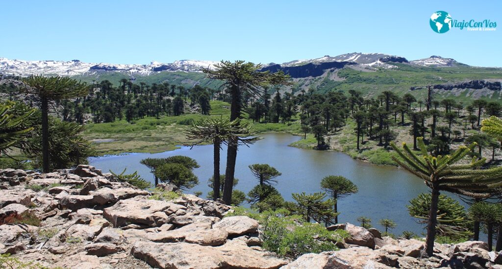 Caviahue-Copahue Se Prepara Para Un Verano Inolvidable » Viajo Con Vos
