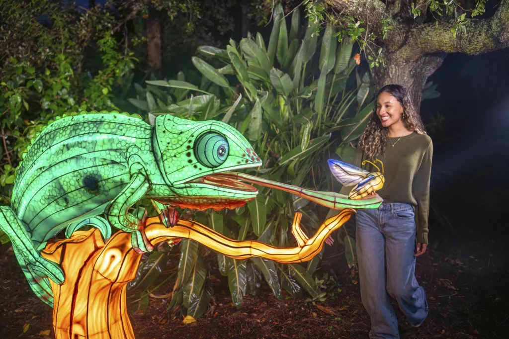 Descubre ILLUMINATE En Aquatica » Viajo Con Vos
